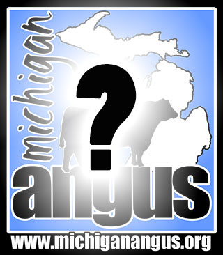 Angus Trivia