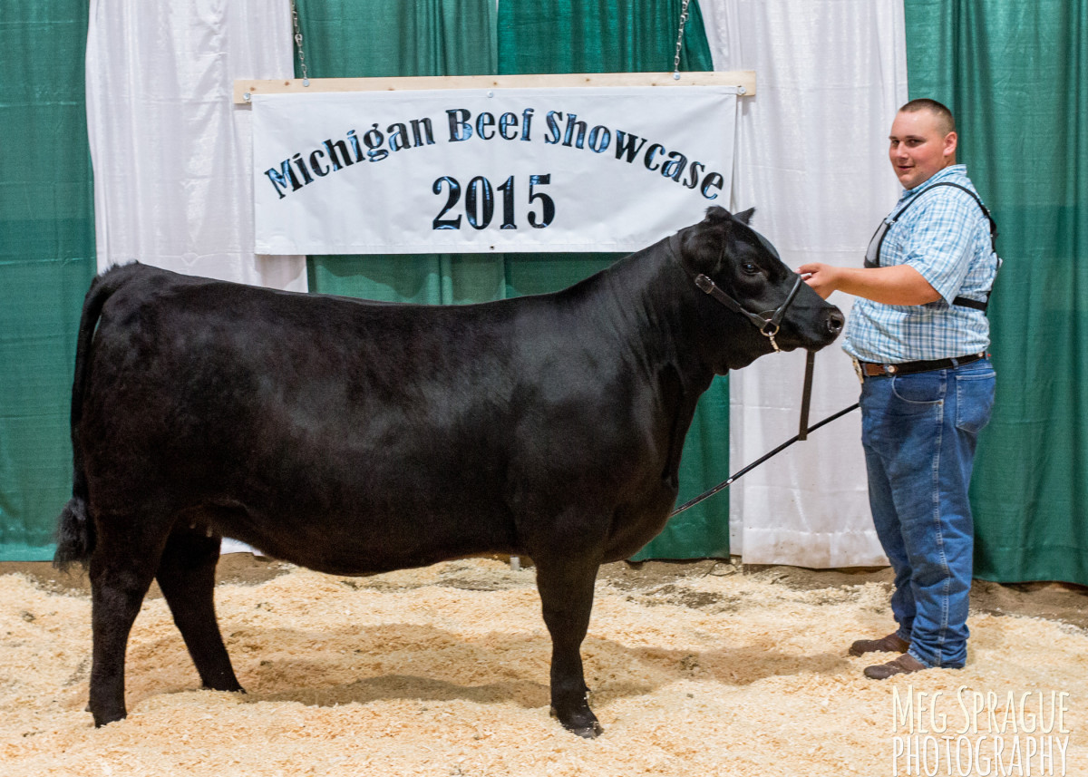 2015 Michigan Angus Association Junior Preview Show