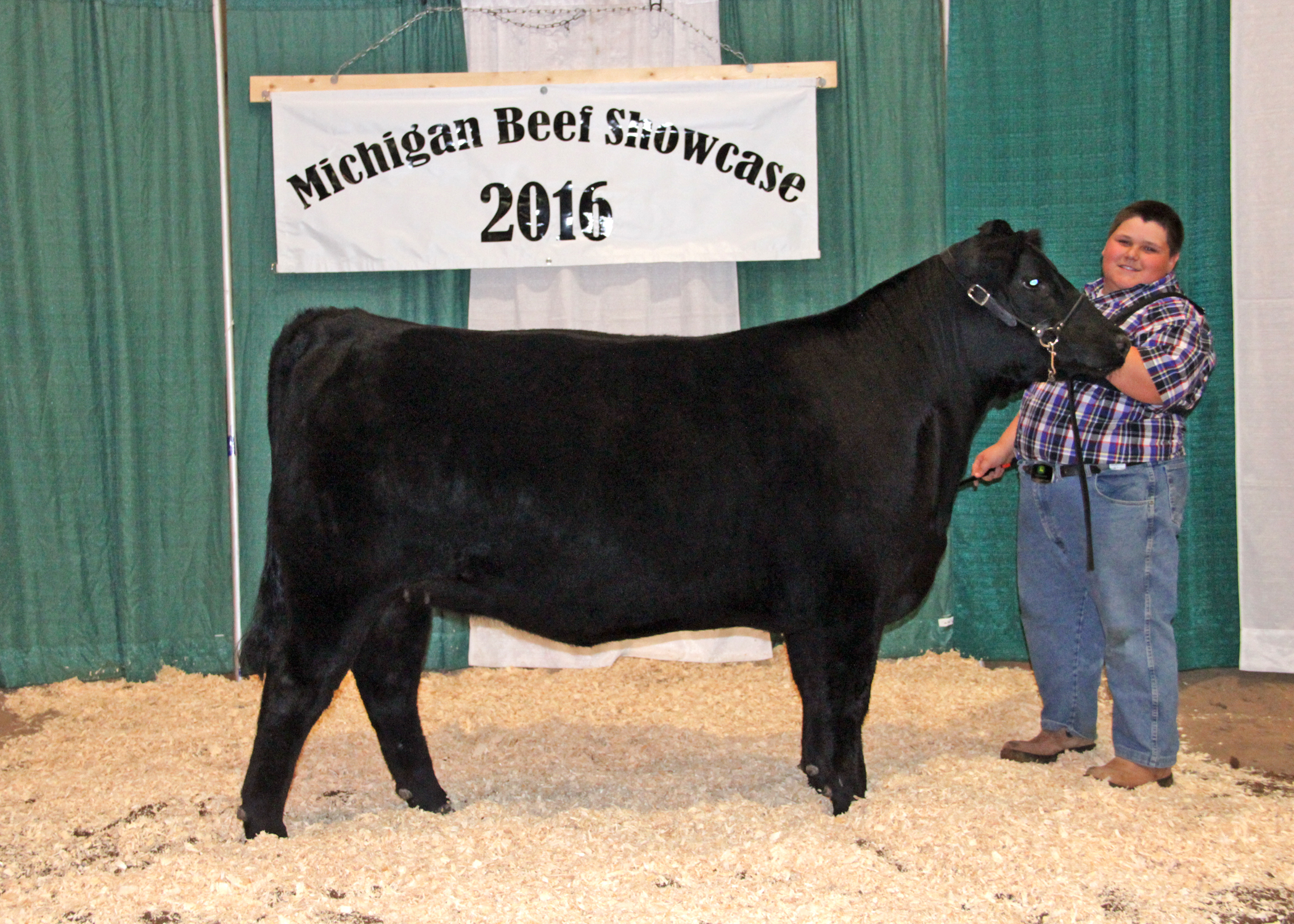 2016 Michigan Angus Association Junior Preview Show Results