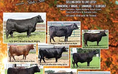 2016 Michigan Angus Fall Sale Catalog