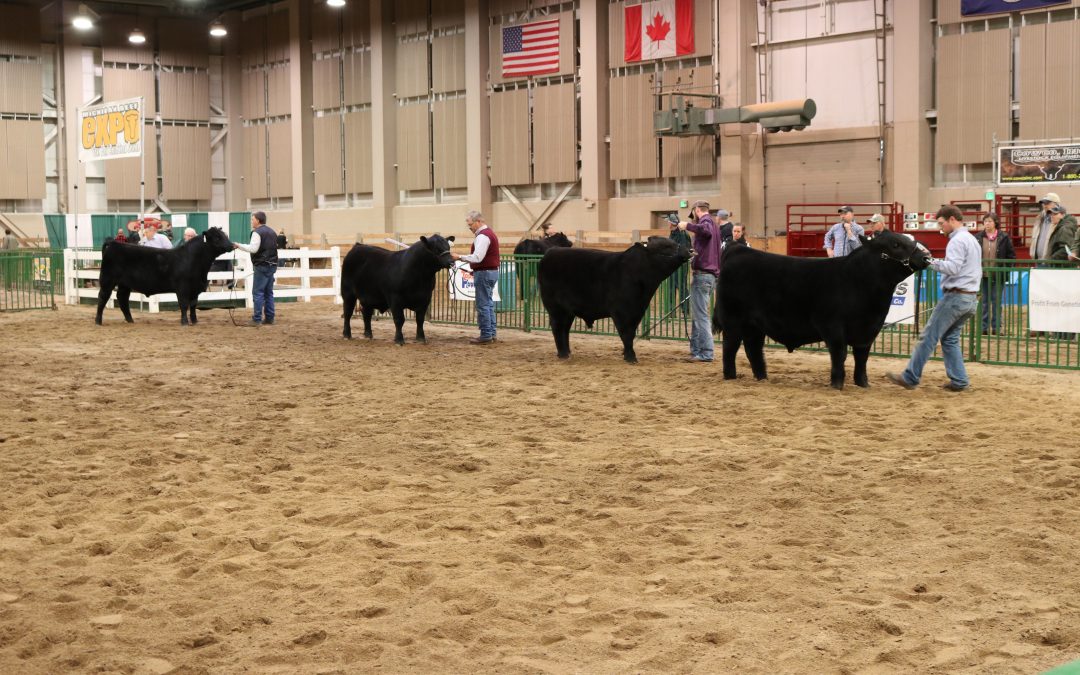 2017 Michigan Beef Expo Sale Report