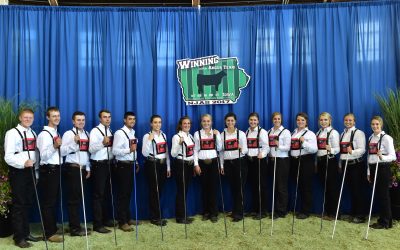 Showmanship for the Elite