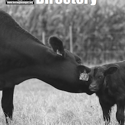 2017-2018 Michigan Angus Membership Directory