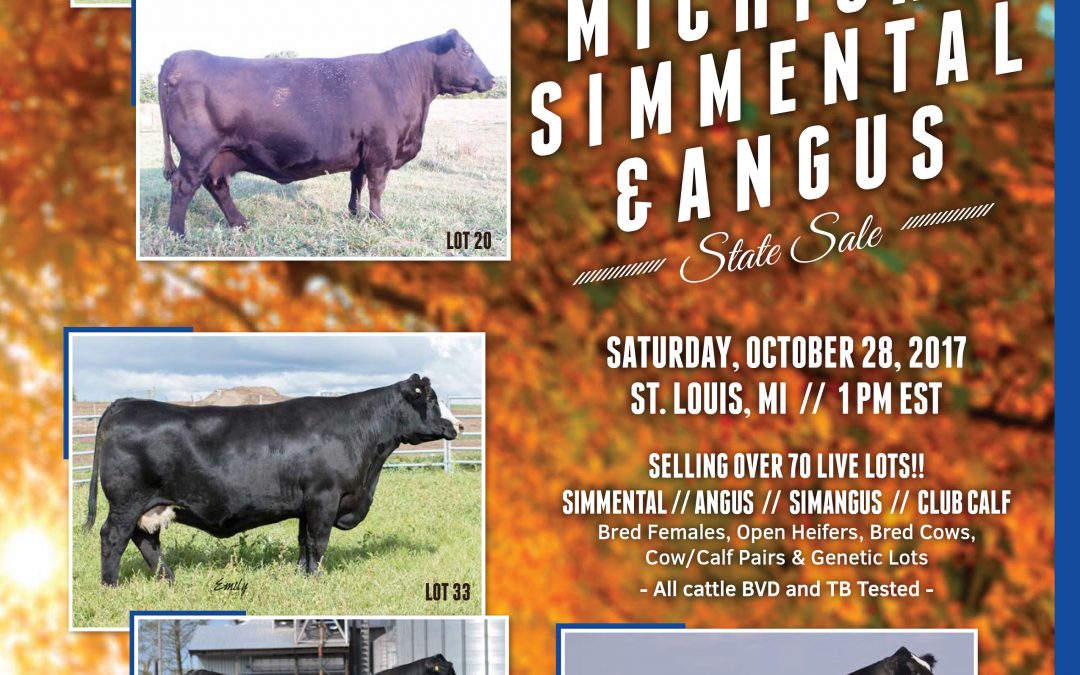2017 Fall Sale Report