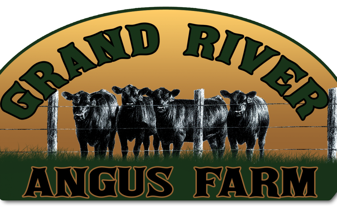 American Angus Association Announces the Ten Michigan Breeders who Registered the Most Angus