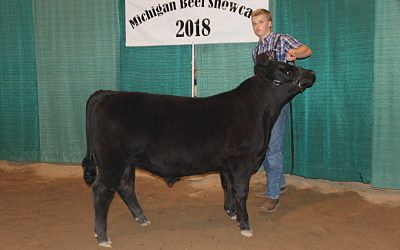 2018 Michigan Angus Association Junior Preview Show