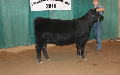 2018 Michigan Angus Association Junior Preview Show – CORRECTION