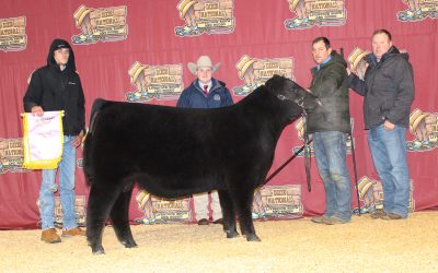 2021 Dixie National Roll of Victory (ROV) Angus Show Results