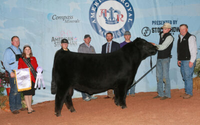 2021 American Royal Super Point Roll of Victory (ROV) Angus Show