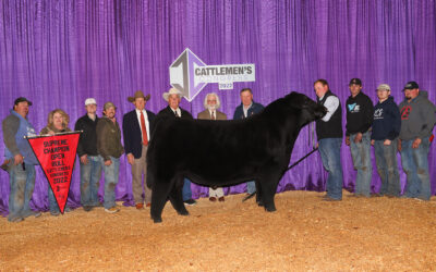 2022 Cattlemen’s Congress Super Point Roll of Victory (ROV) Angus Show