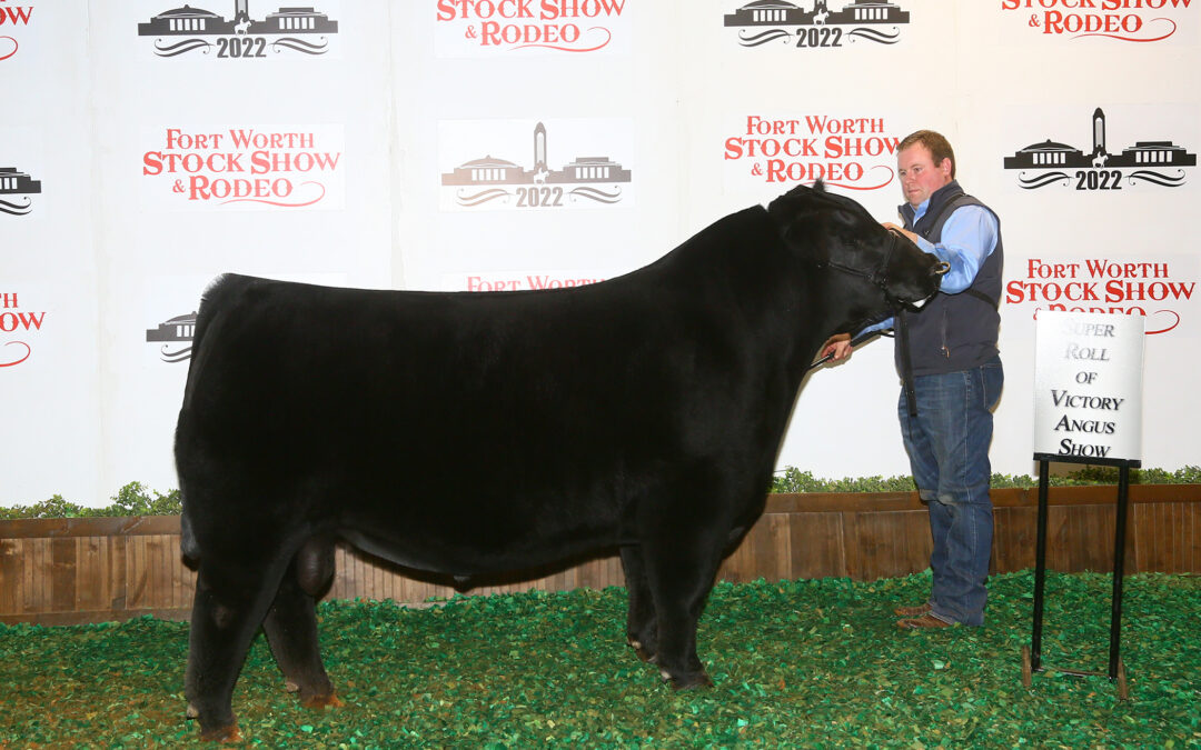 2022 Southwestern Exposition and Livestock Show’s Roll of Victory (ROV) Angus Show