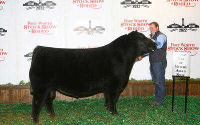 2022 Southwestern Exposition and Livestock Show’s Roll of Victory (ROV) Angus Show