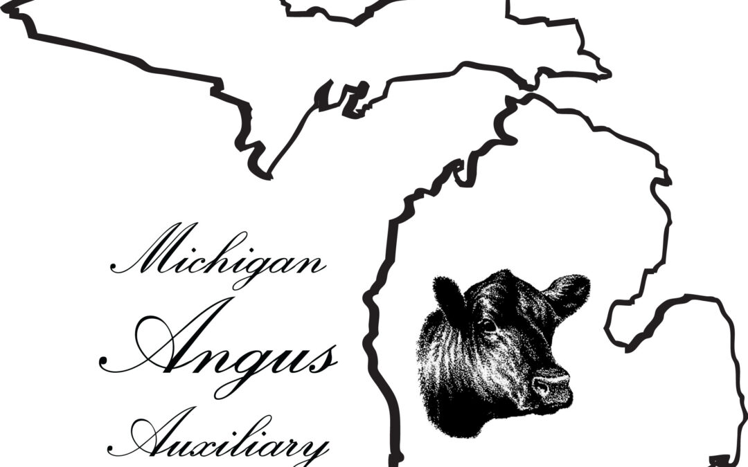 Michigan Angus Auxiliary Advanced Education Scholarship 2024