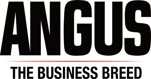 American Angus Association Announces the Ten Michigan Breeders Who Registered the Most Angus