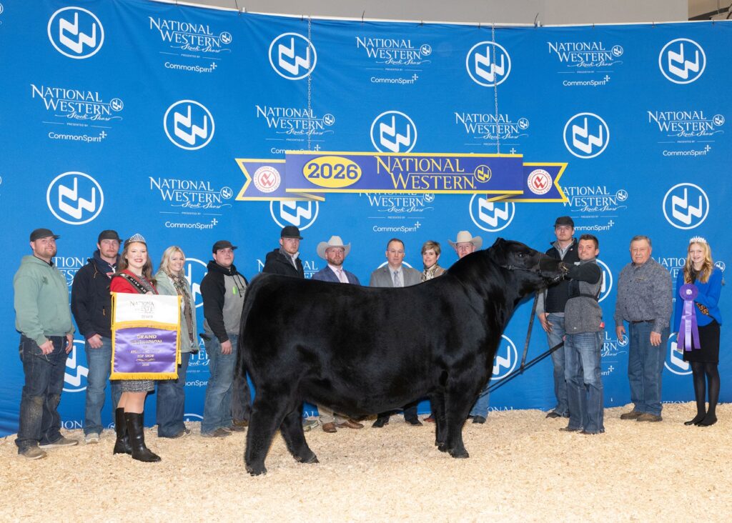 2026 National Western Stock Show's Super Point Roll of Victory (ROV) Angus Show results