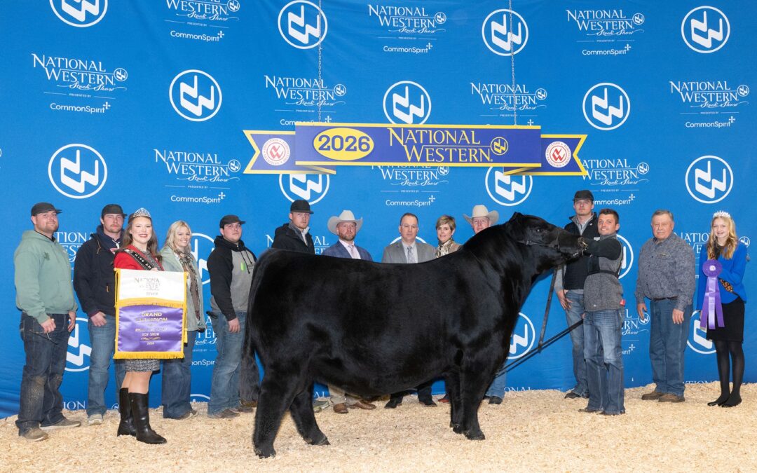 2026 National Western Stock Show’s Super Point Roll of Victory (ROV) Angus Show results