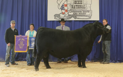 2026 Dixie National Roll of Victory (ROV) Angus Show