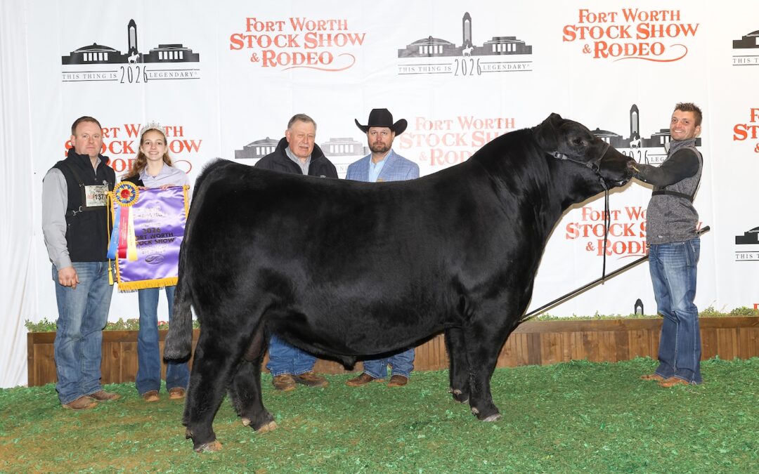 2026 Southwestern Exposition and Livestock Show’s Roll of Victory (ROV) Angus Show