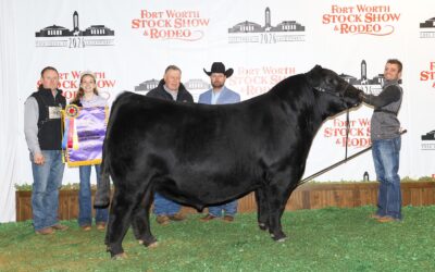 2026 Southwestern Exposition and Livestock Show’s Roll of Victory (ROV) Angus Show
