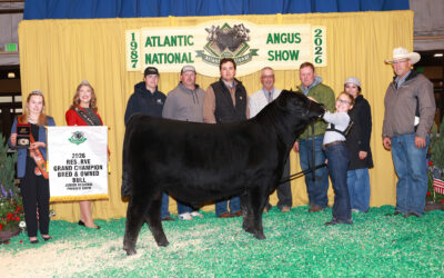 2026 Atlantic National Regional Preview Junior Angus Show results