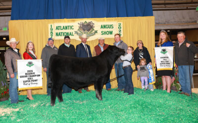 2026 Atlantic National Super Point Roll of Victory (ROV) Angus Show results